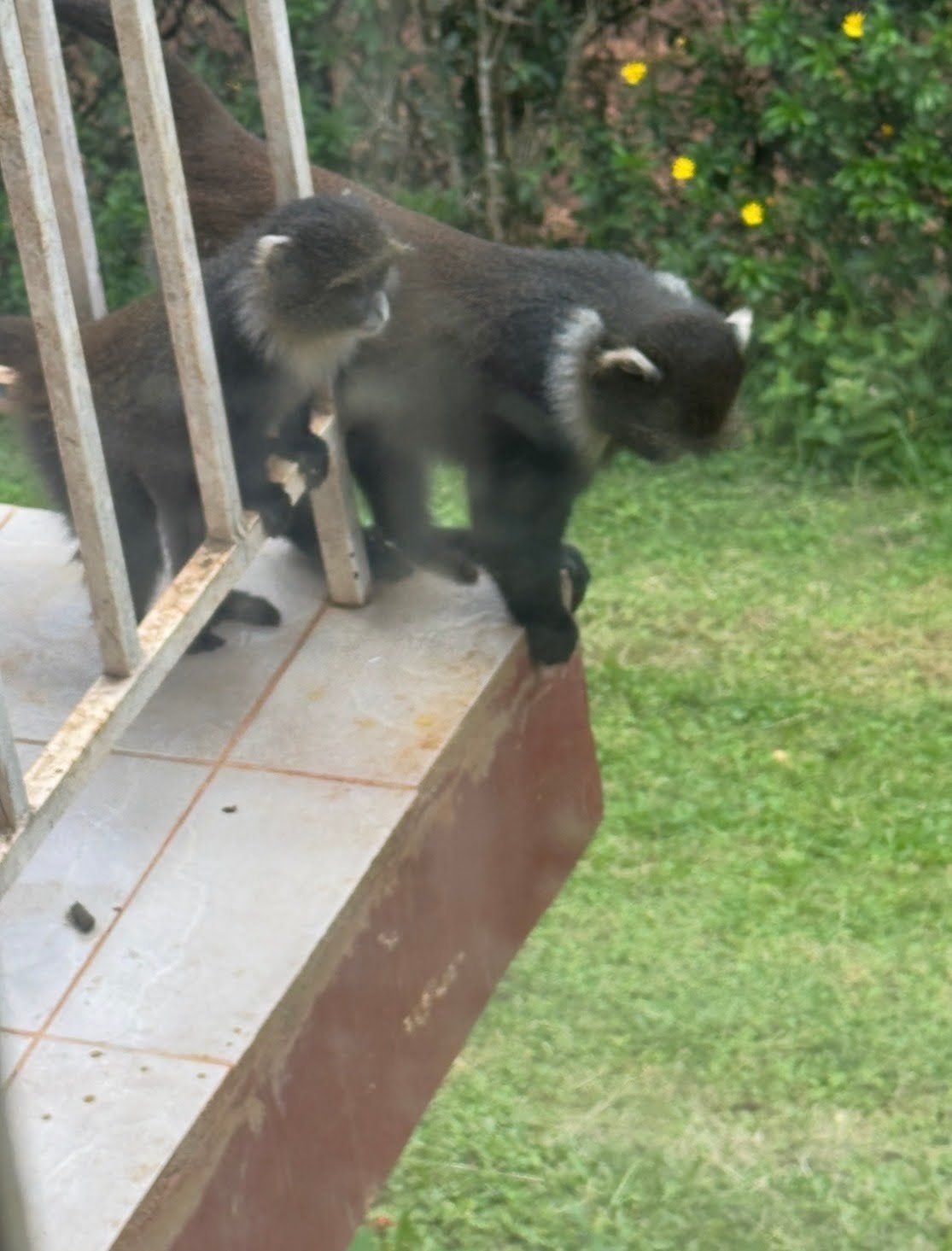 ""Let's get out of here, I think he is a Baptist preacher."